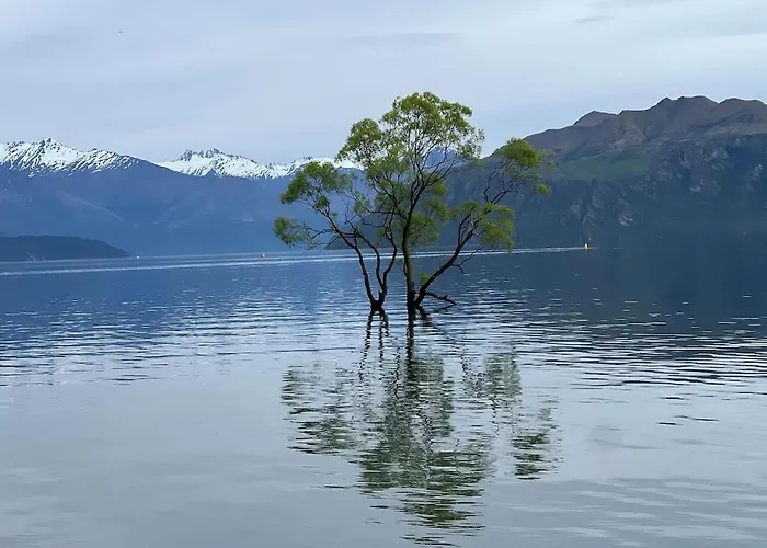 Aspiring View Wanaka